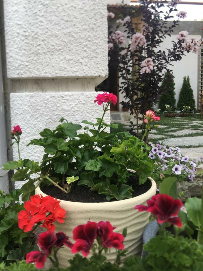 My Garden Hotel Tbilisi Exterior photo